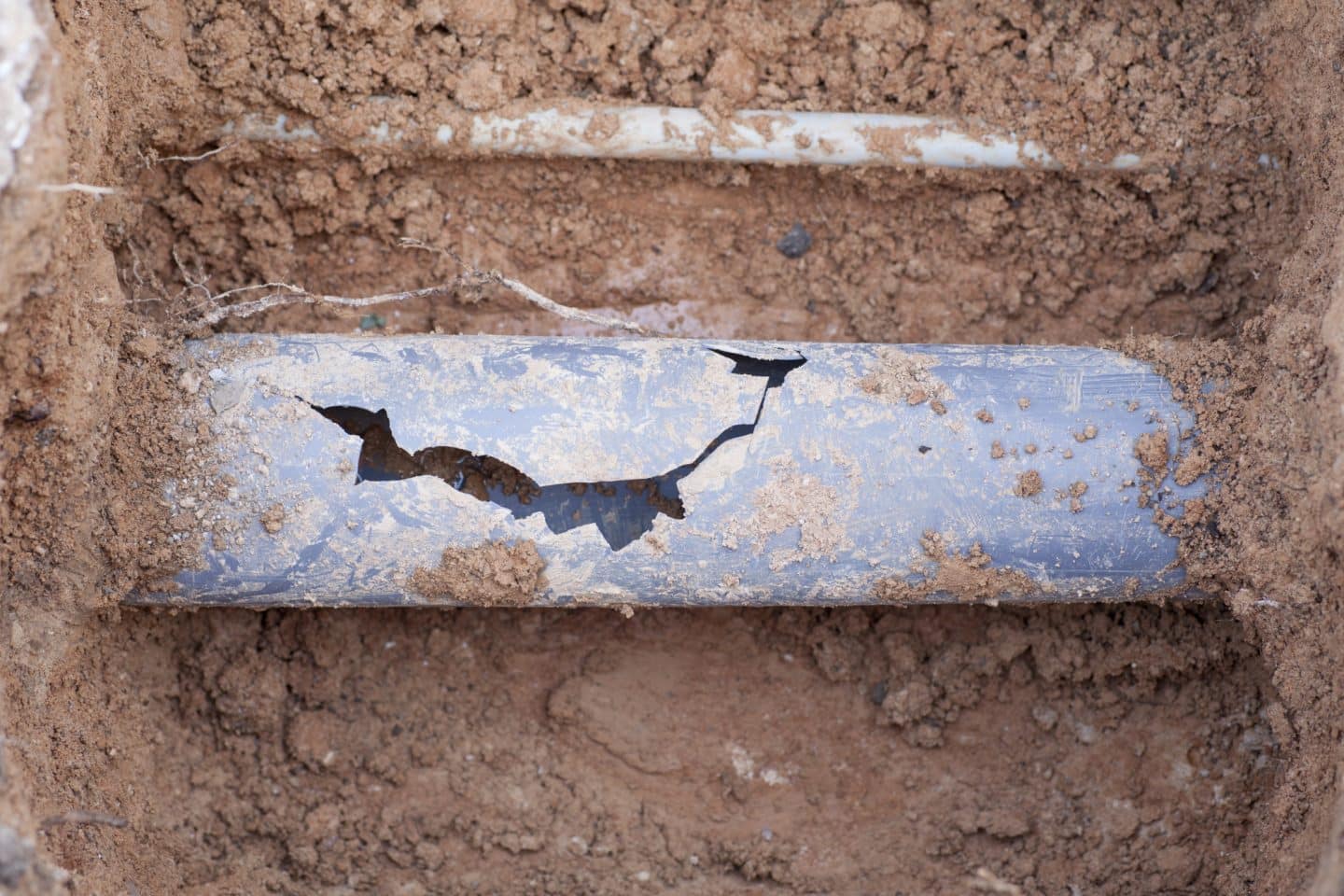 5 Signs You Need a Sewer Line Repair